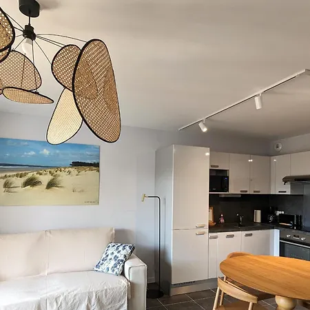 T3 Neuf A : Terrasse, Parking Et Wifi - Fr-1-420-153 Apartmán Arcachon