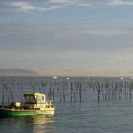 T3 Neuf A : Terrasse, Parking Et Wifi - Fr-1-420-153 阿卡雄