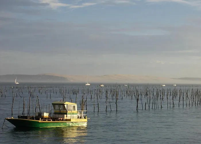 T3 Neuf A : Terrasse, Parking Et Wifi - Fr-1-420-153 阿卡雄